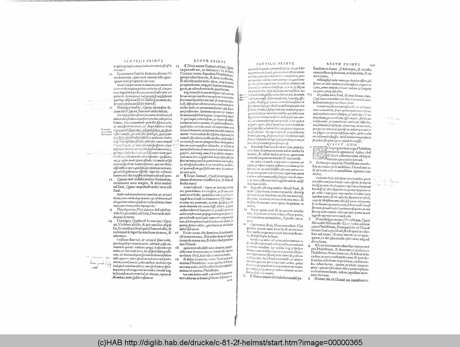 http://diglib.hab.de/drucke/c-81-2f-helmst/00000365.gif