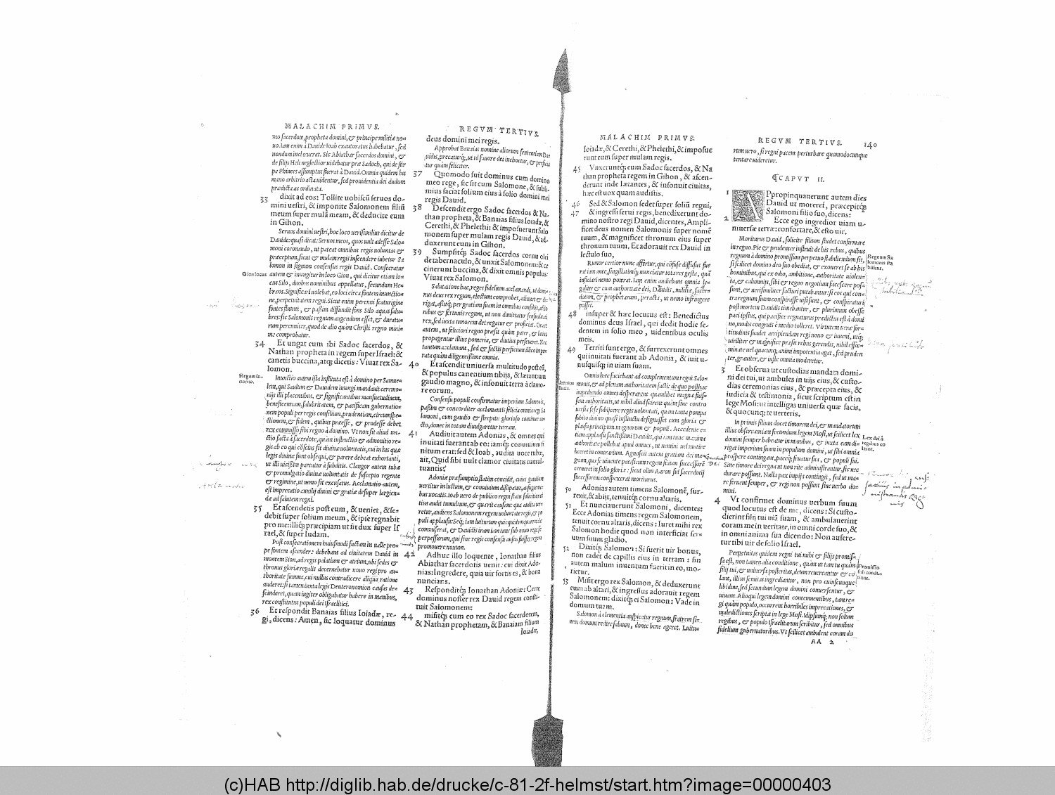 http://diglib.hab.de/drucke/c-81-2f-helmst/00000403.gif