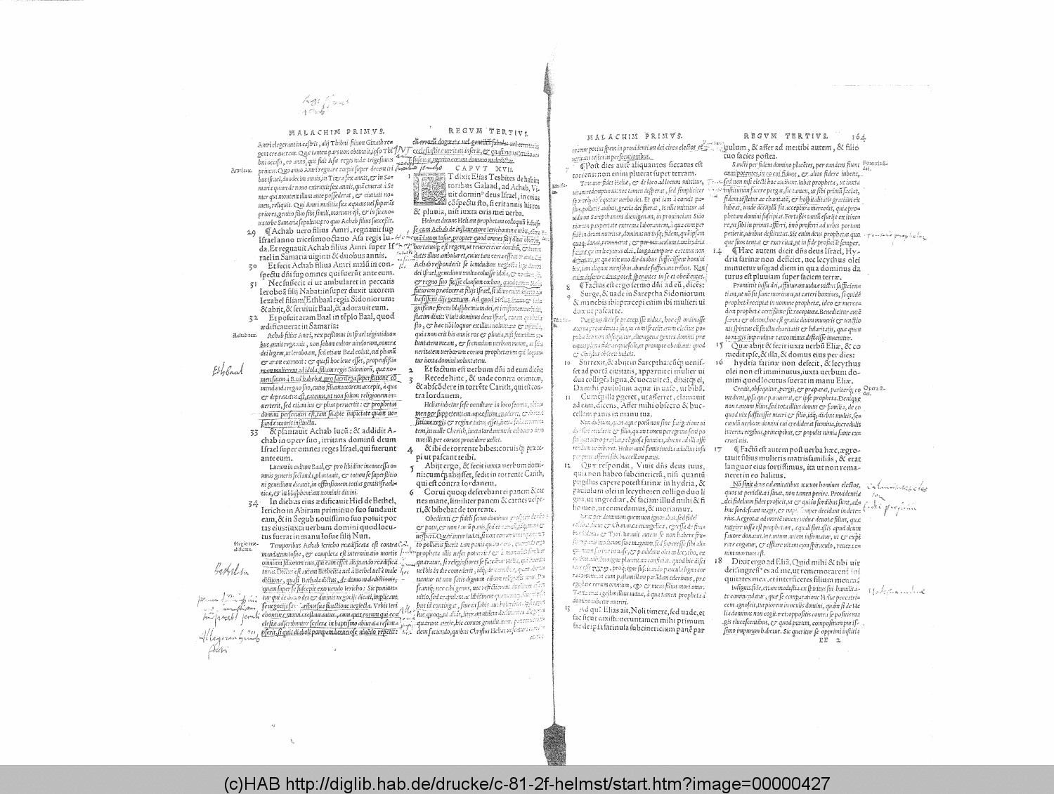 http://diglib.hab.de/drucke/c-81-2f-helmst/00000427.gif