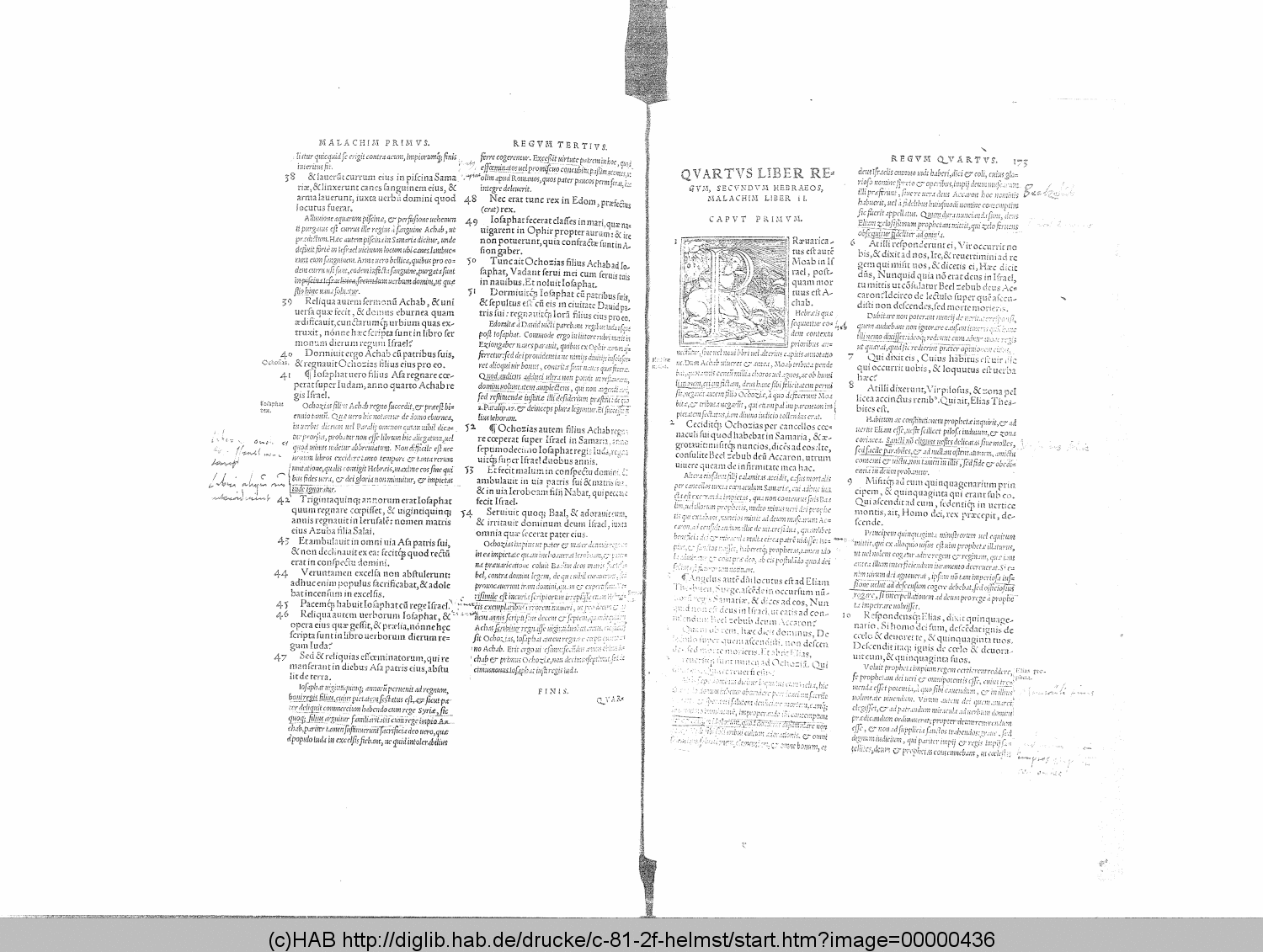 http://diglib.hab.de/drucke/c-81-2f-helmst/00000436.gif