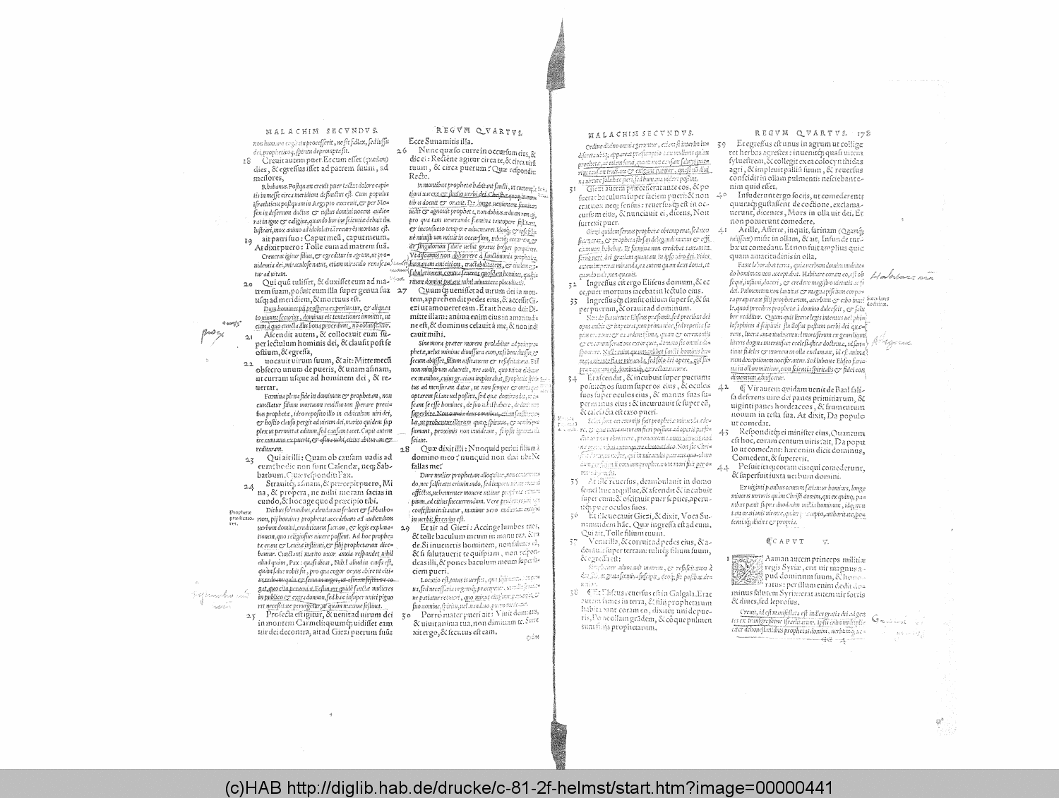 http://diglib.hab.de/drucke/c-81-2f-helmst/00000441.gif