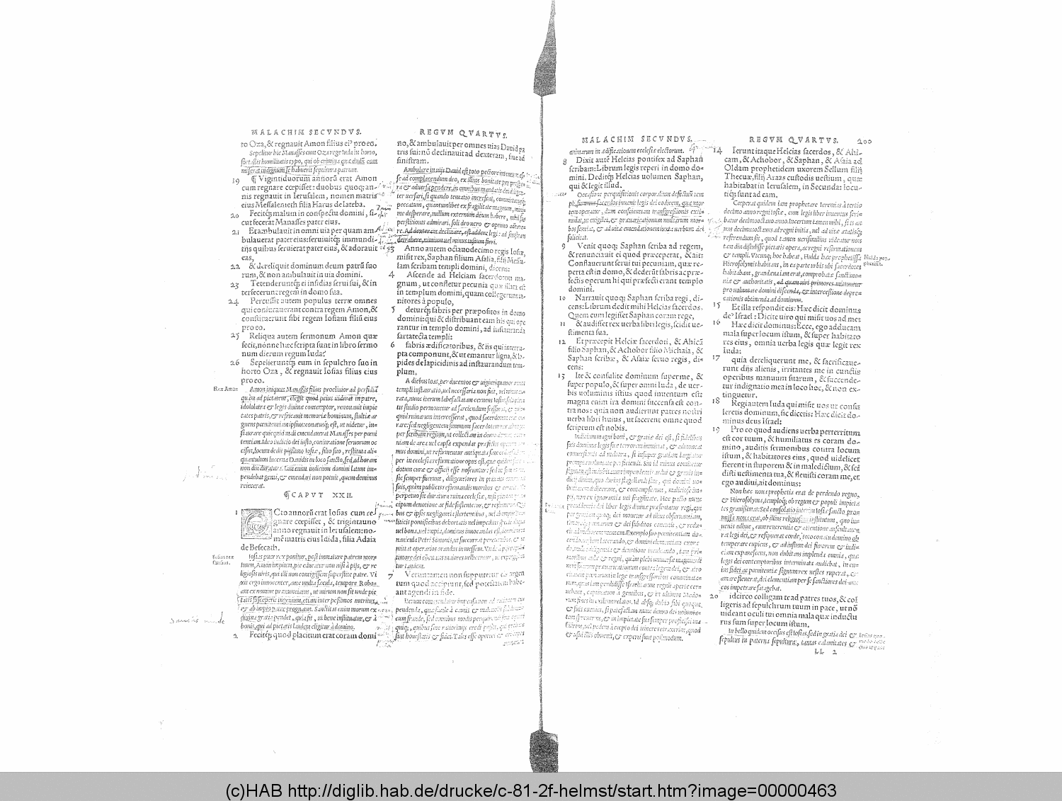 http://diglib.hab.de/drucke/c-81-2f-helmst/00000463.gif