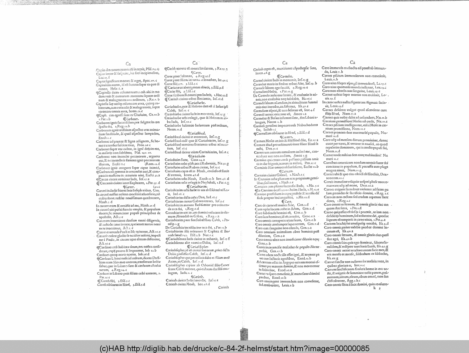http://diglib.hab.de/drucke/c-84-2f-helmst/00000085.gif