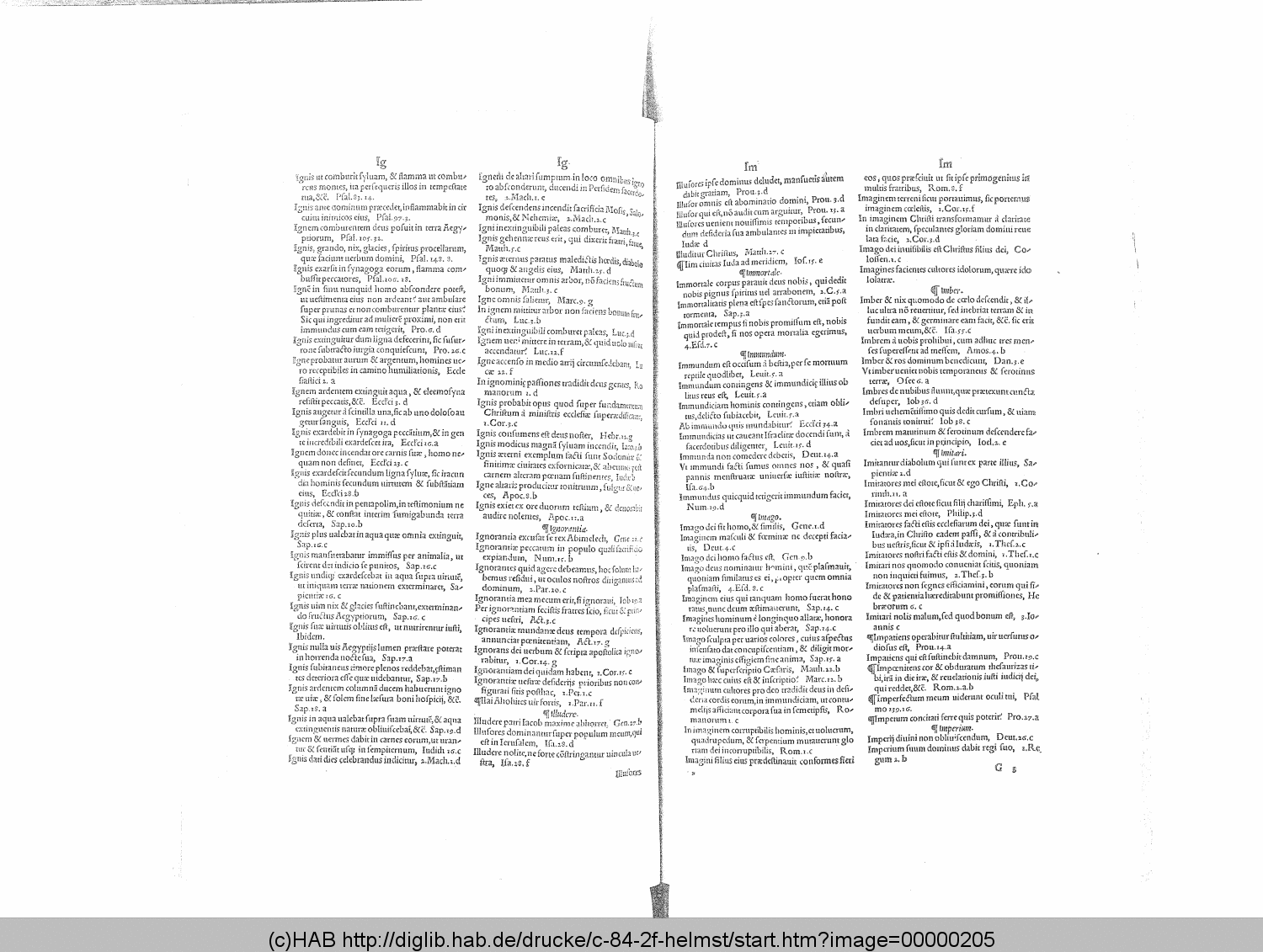 http://diglib.hab.de/drucke/c-84-2f-helmst/00000205.gif