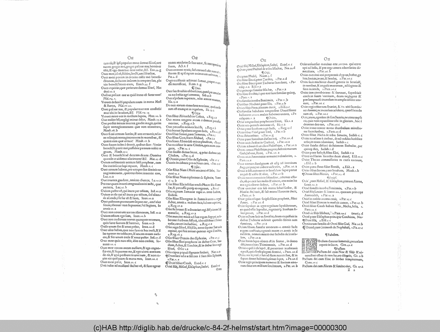 http://diglib.hab.de/drucke/c-84-2f-helmst/00000300.gif