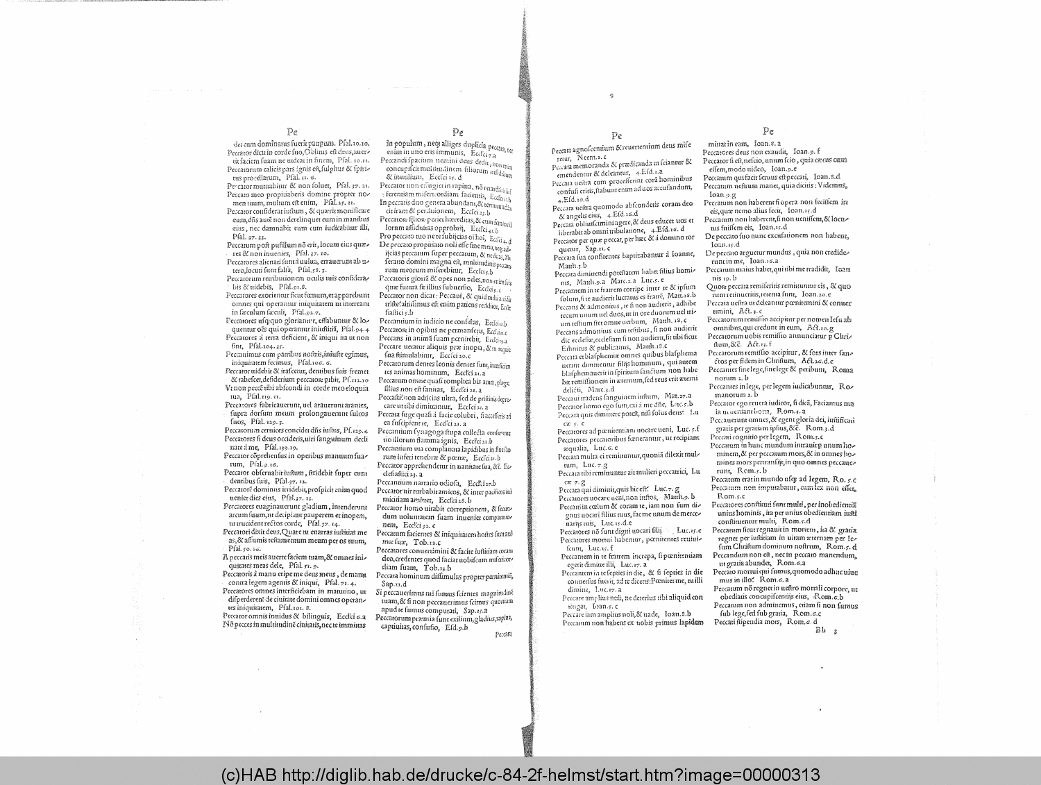 http://diglib.hab.de/drucke/c-84-2f-helmst/00000313.gif