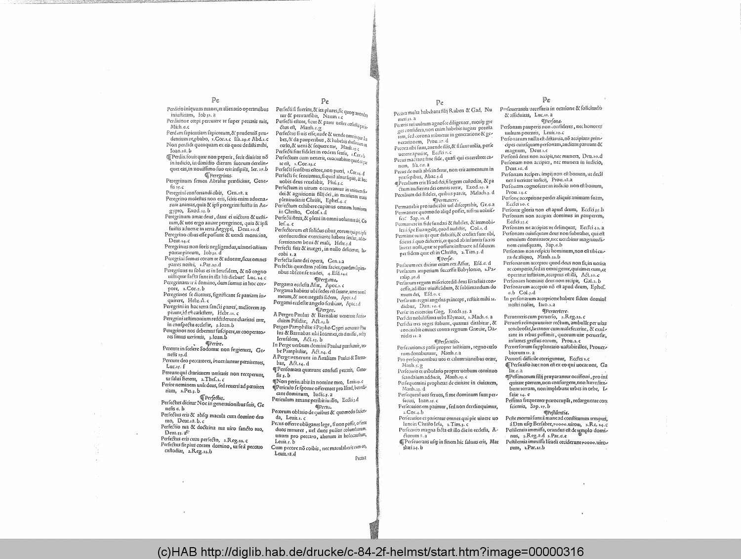 http://diglib.hab.de/drucke/c-84-2f-helmst/00000316.gif