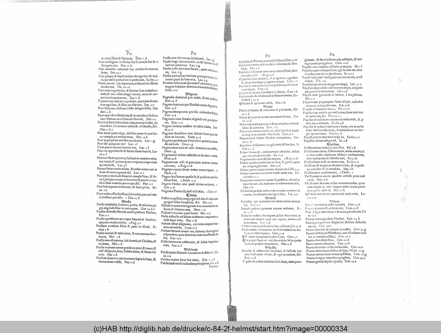http://diglib.hab.de/drucke/c-84-2f-helmst/00000334.gif