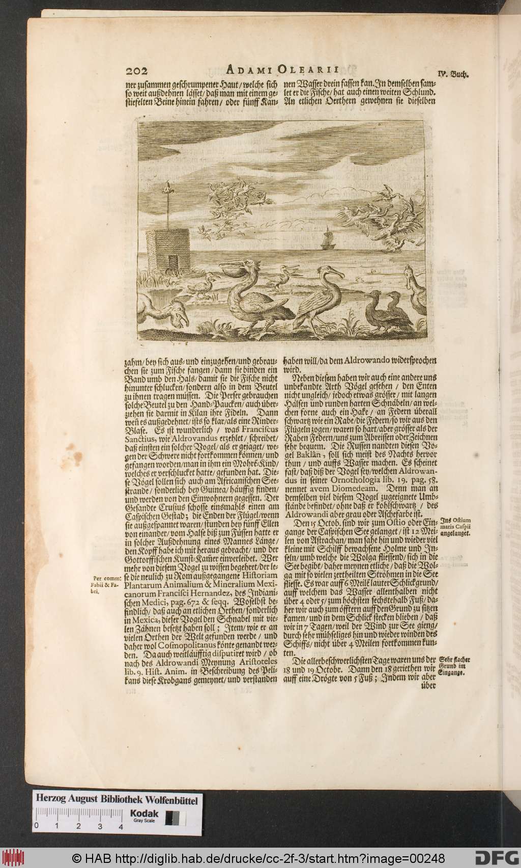 http://diglib.hab.de/drucke/cc-2f-3/00248.jpg