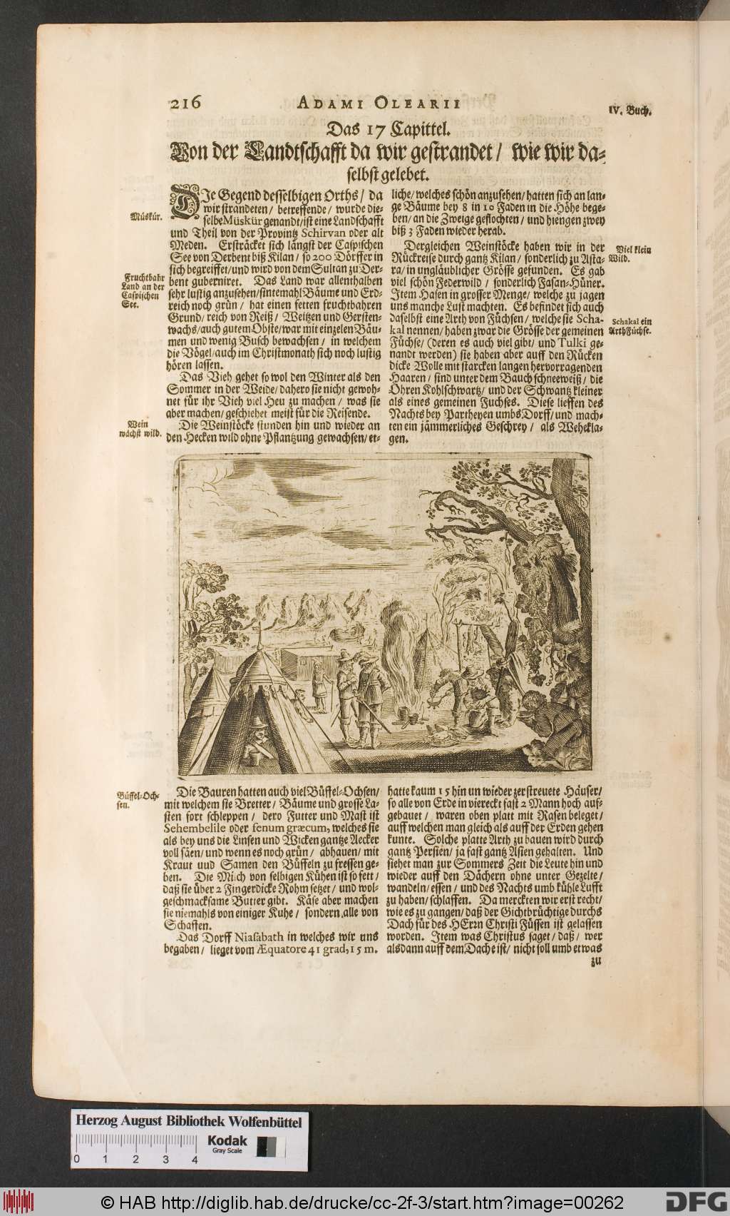 http://diglib.hab.de/drucke/cc-2f-3/00262.jpg