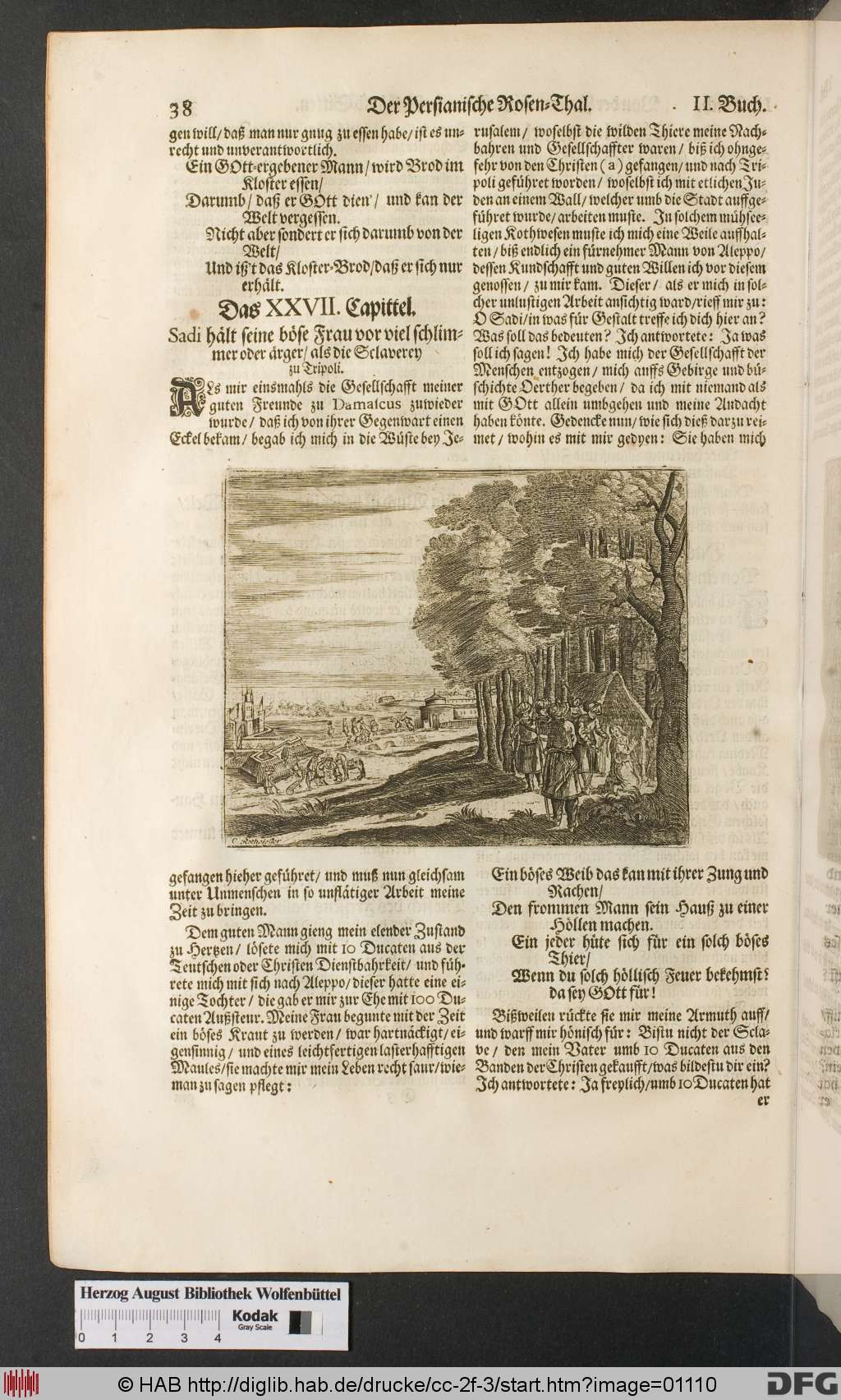 http://diglib.hab.de/drucke/cc-2f-3/01110.jpg
