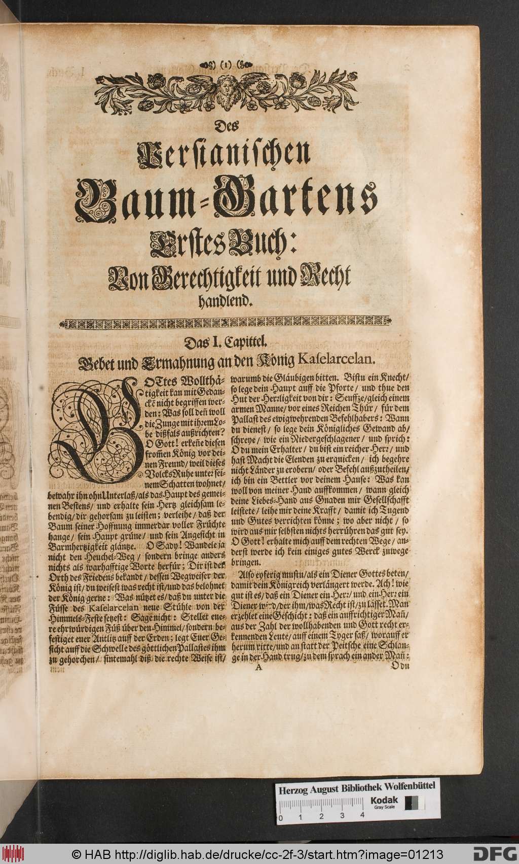http://diglib.hab.de/drucke/cc-2f-3/01213.jpg