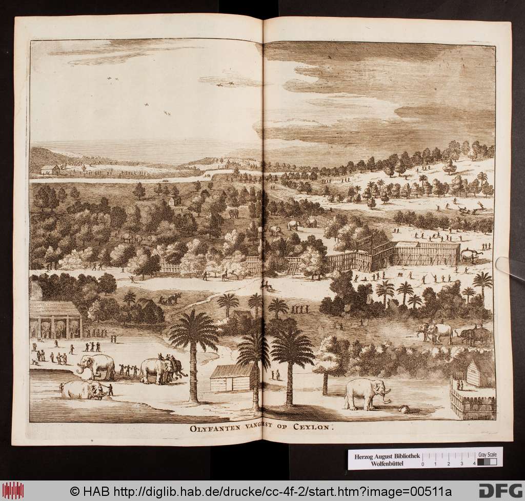 http://diglib.hab.de/drucke/cc-4f-2/00511a.jpg