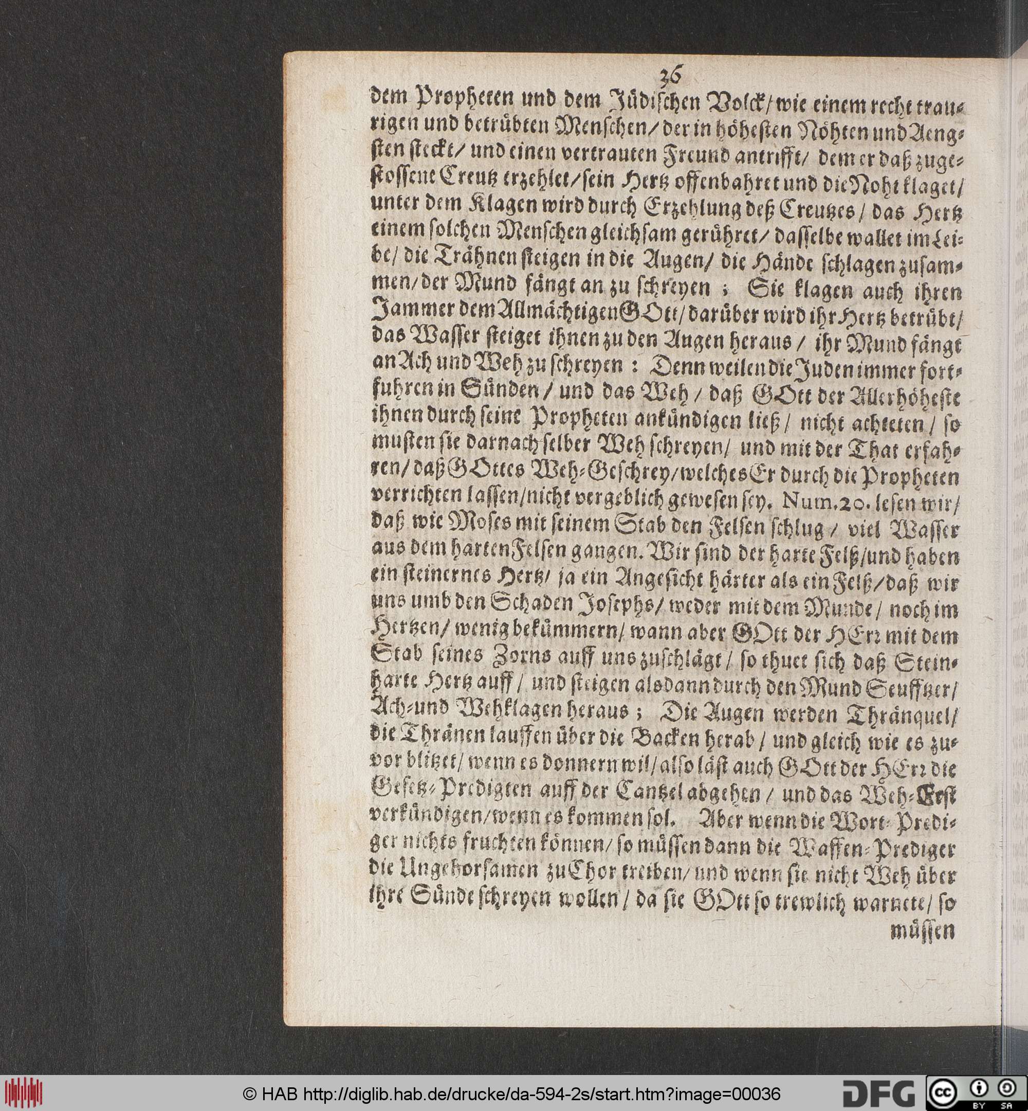 http://diglib.hab.de/drucke/da-594-2s/max/00036.jpg