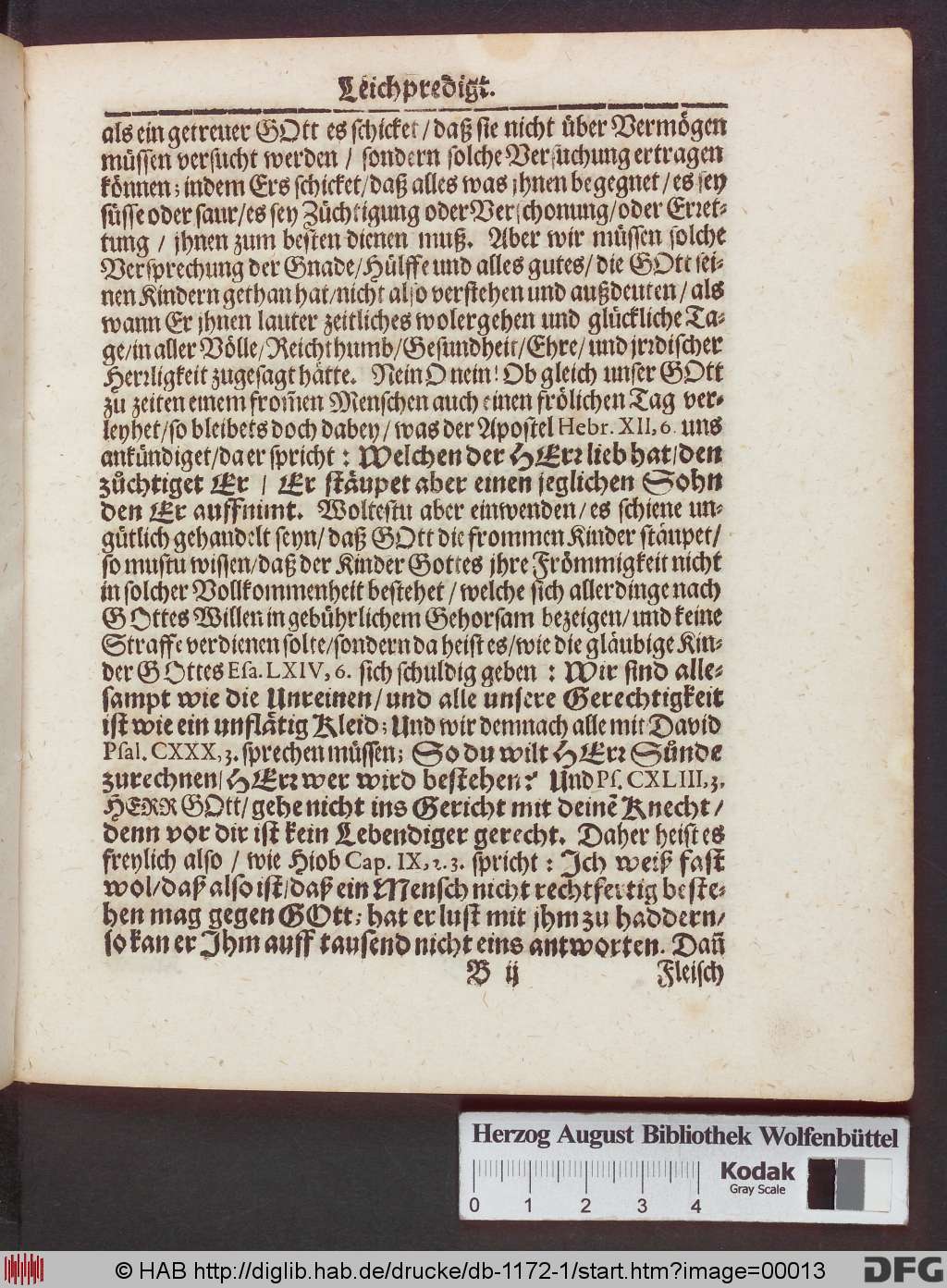 http://diglib.hab.de/drucke/db-1172-1/00013.jpg