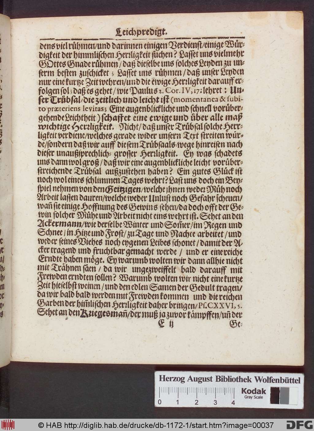 http://diglib.hab.de/drucke/db-1172-1/00037.jpg
