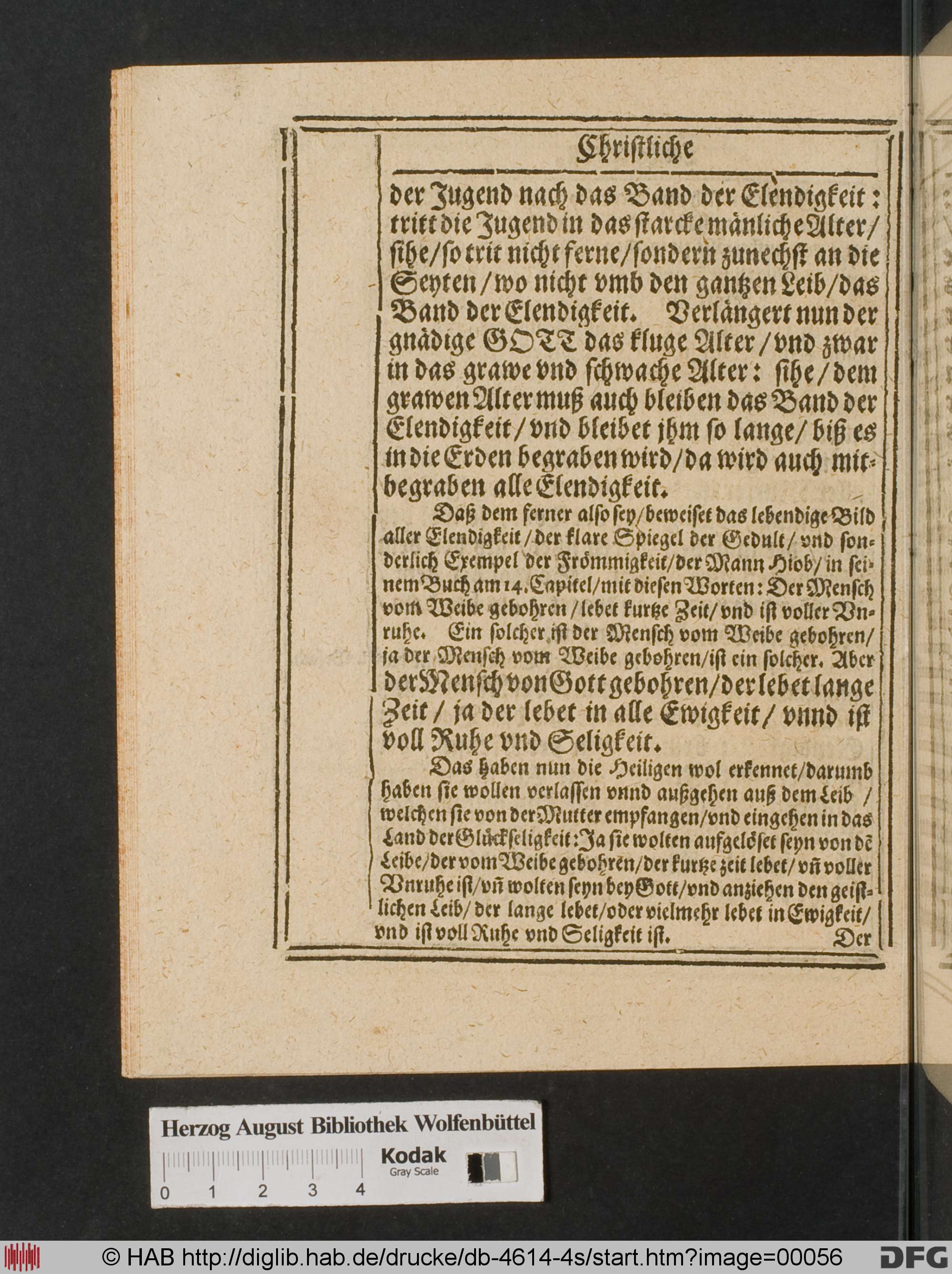 http://diglib.hab.de/drucke/db-4614-4s/max/00056.jpg