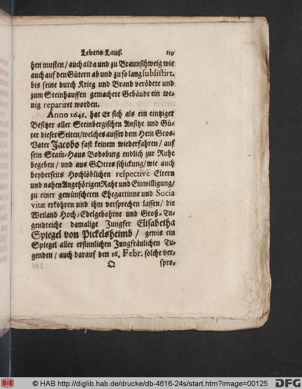 http://diglib.hab.de/drucke/db-4616-24s/00125.jpg
