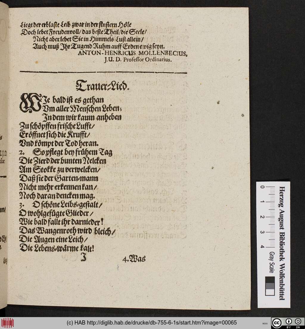 http://diglib.hab.de/drucke/db-755-6-1s/00065.jpg