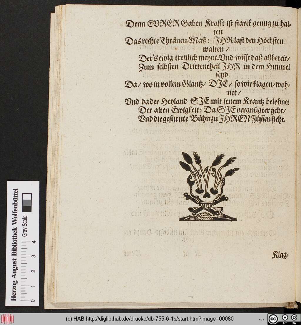 http://diglib.hab.de/drucke/db-755-6-1s/00080.jpg