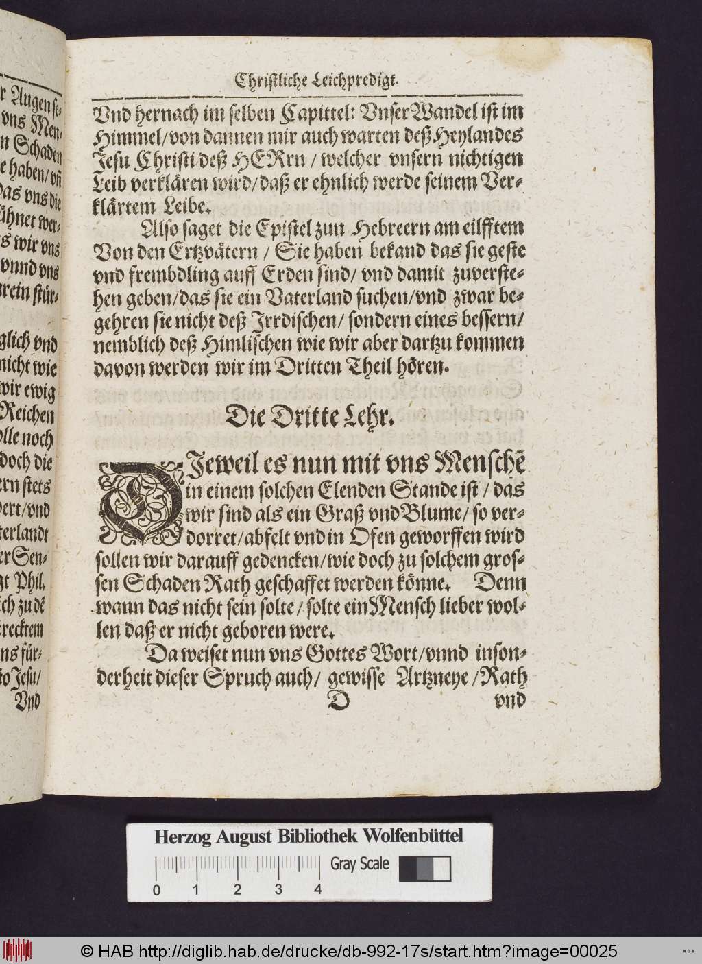 http://diglib.hab.de/drucke/db-992-17s/00025.jpg