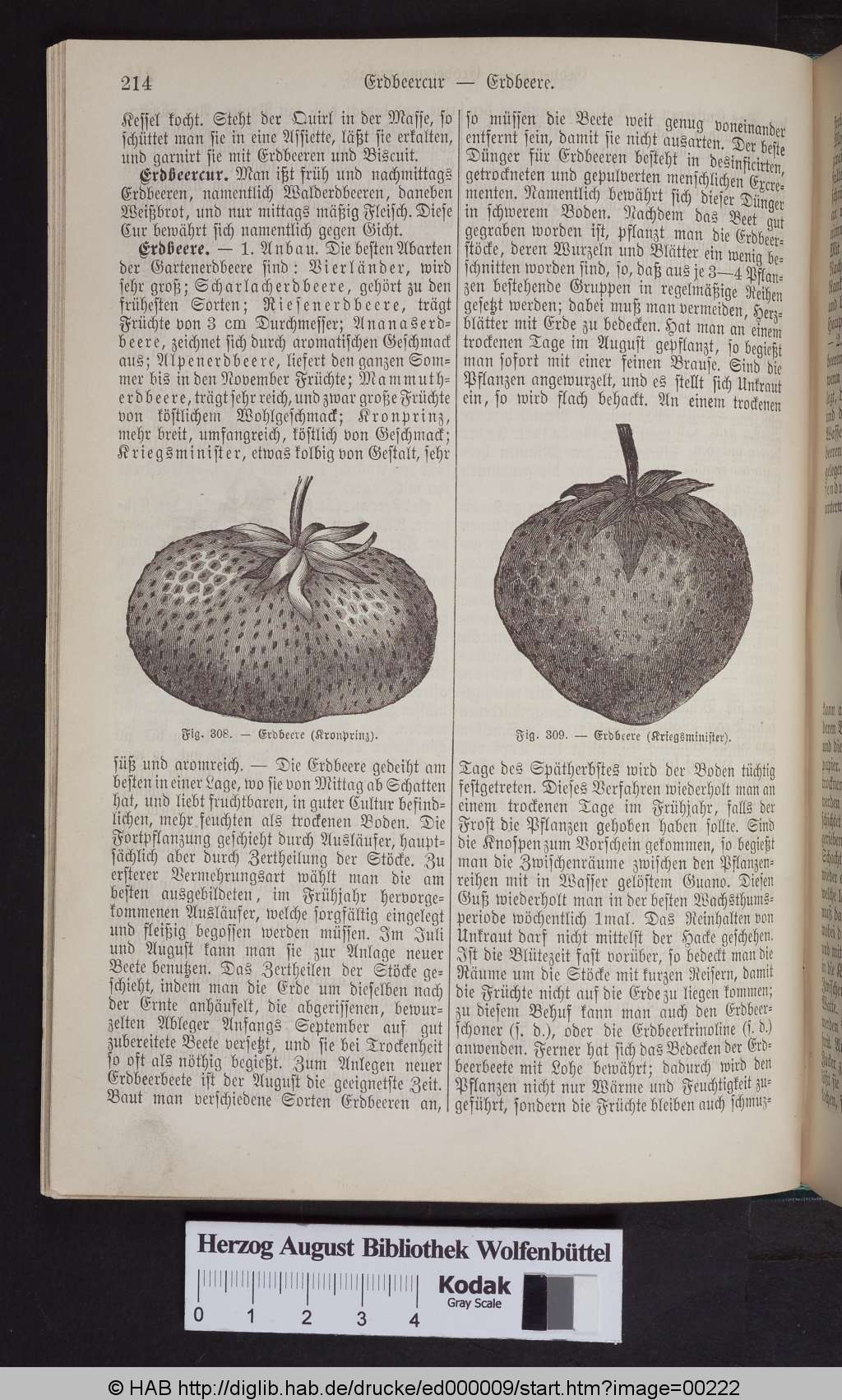 http://diglib.hab.de/drucke/ed000009/00222.jpg