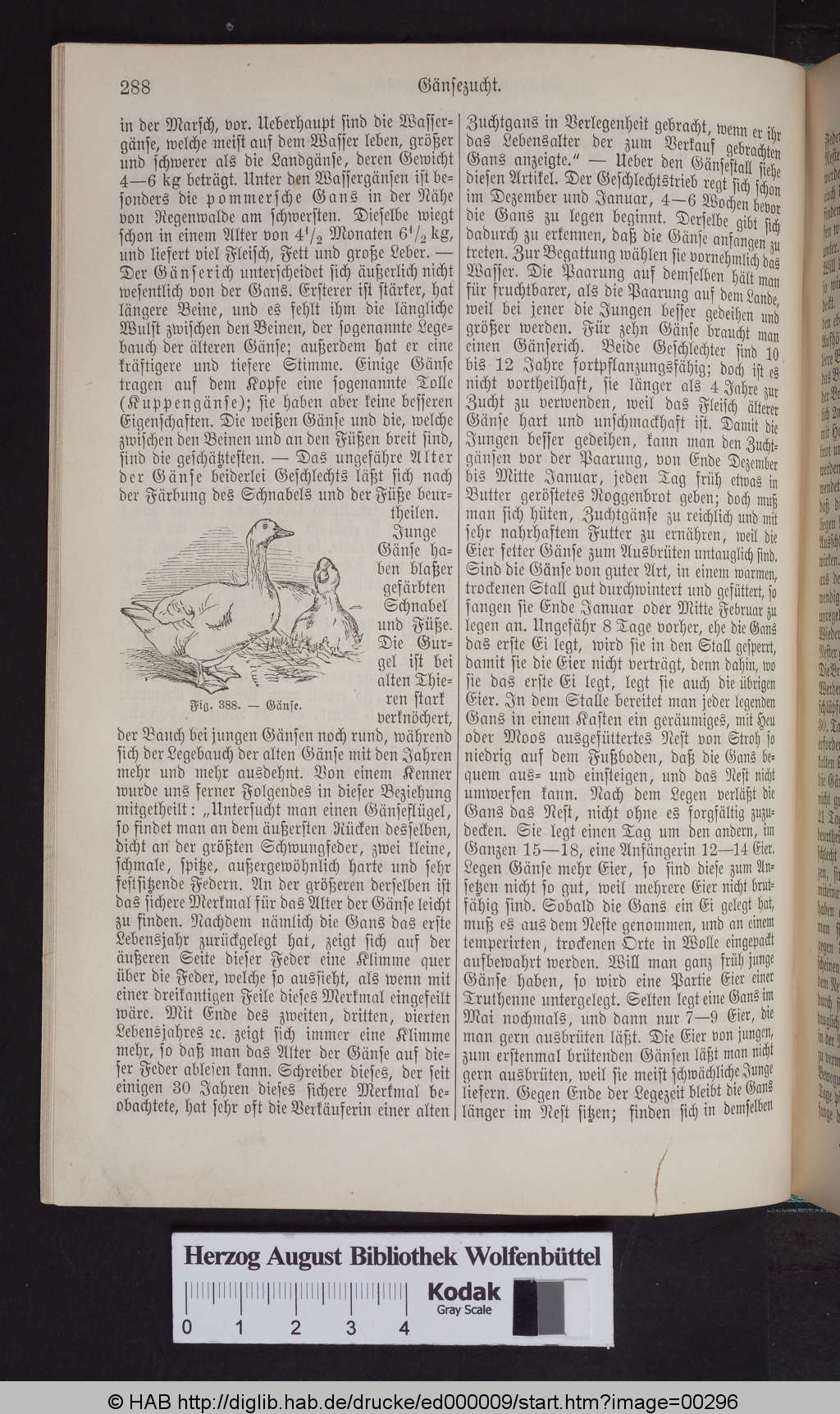 http://diglib.hab.de/drucke/ed000009/00296.jpg