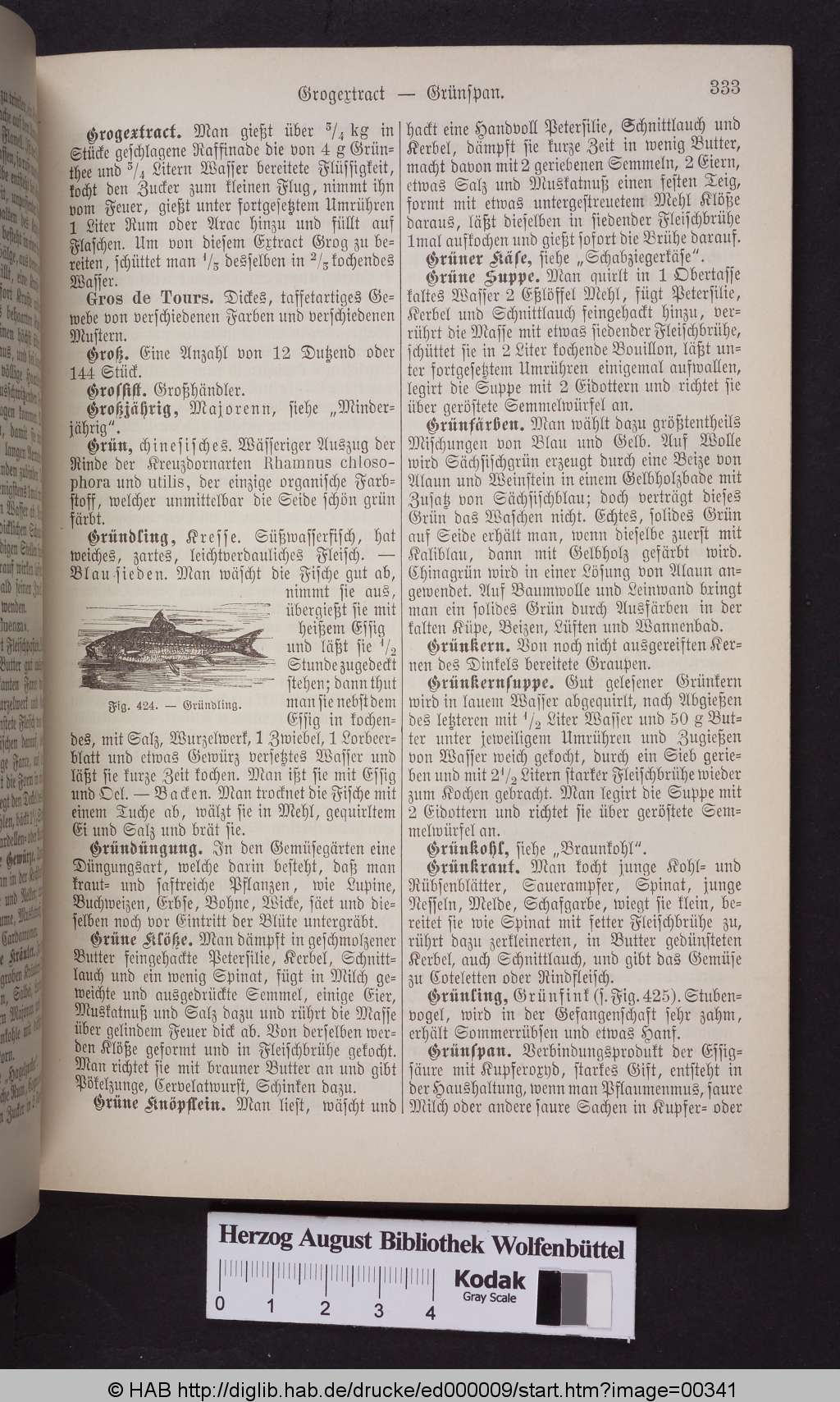 http://diglib.hab.de/drucke/ed000009/00341.jpg