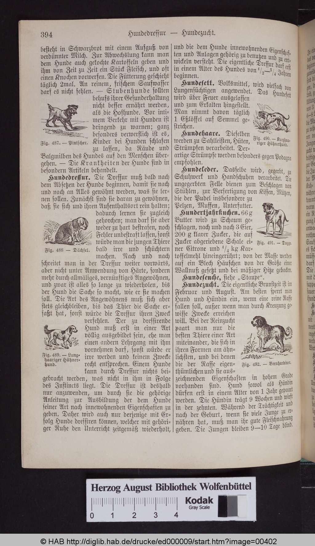 http://diglib.hab.de/drucke/ed000009/00402.jpg