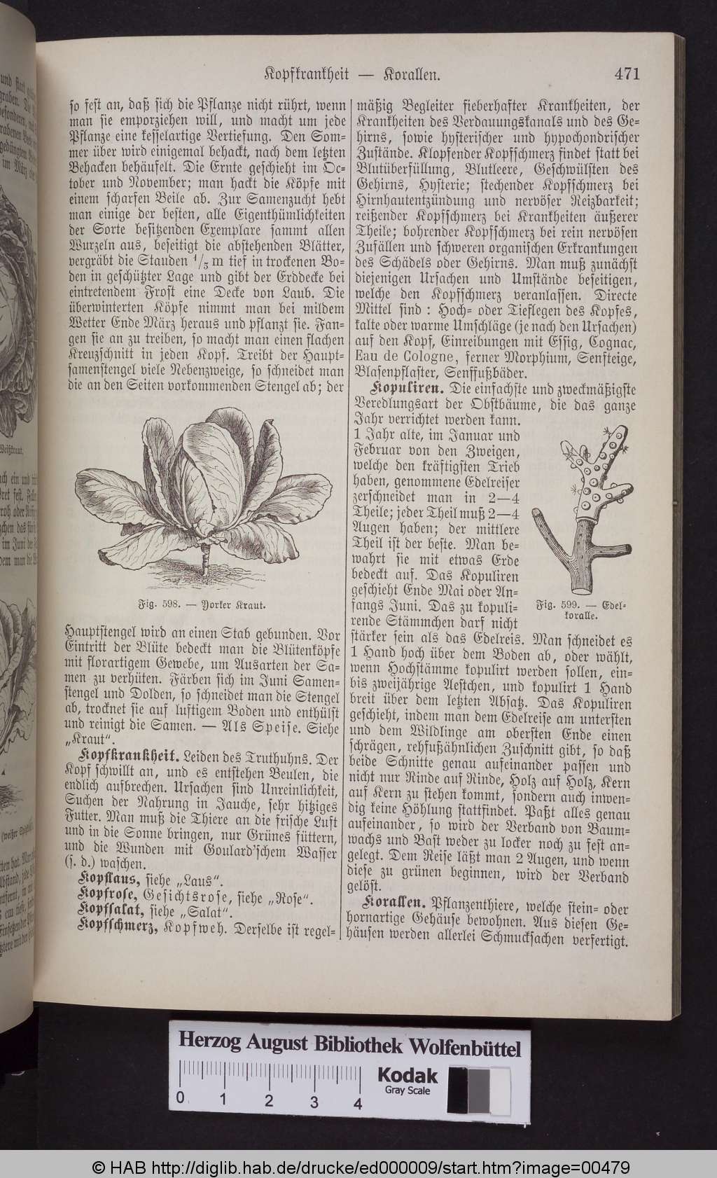 http://diglib.hab.de/drucke/ed000009/00479.jpg