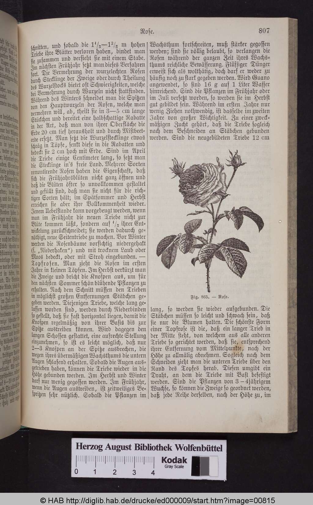 http://diglib.hab.de/drucke/ed000009/00815.jpg