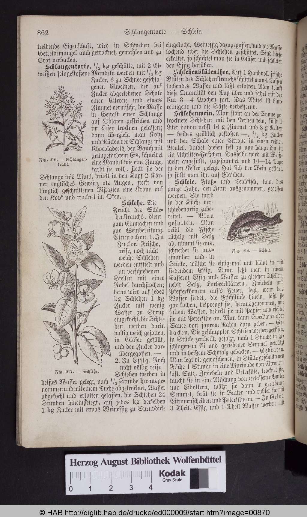 http://diglib.hab.de/drucke/ed000009/00870.jpg