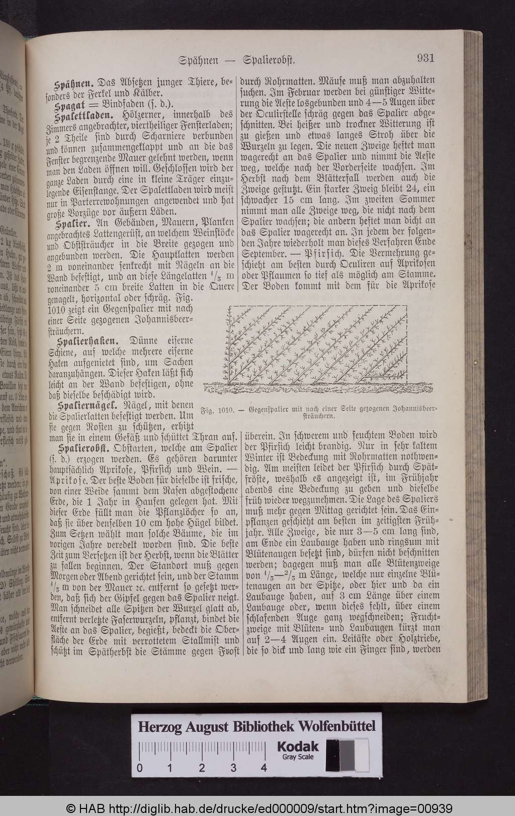 http://diglib.hab.de/drucke/ed000009/00939.jpg