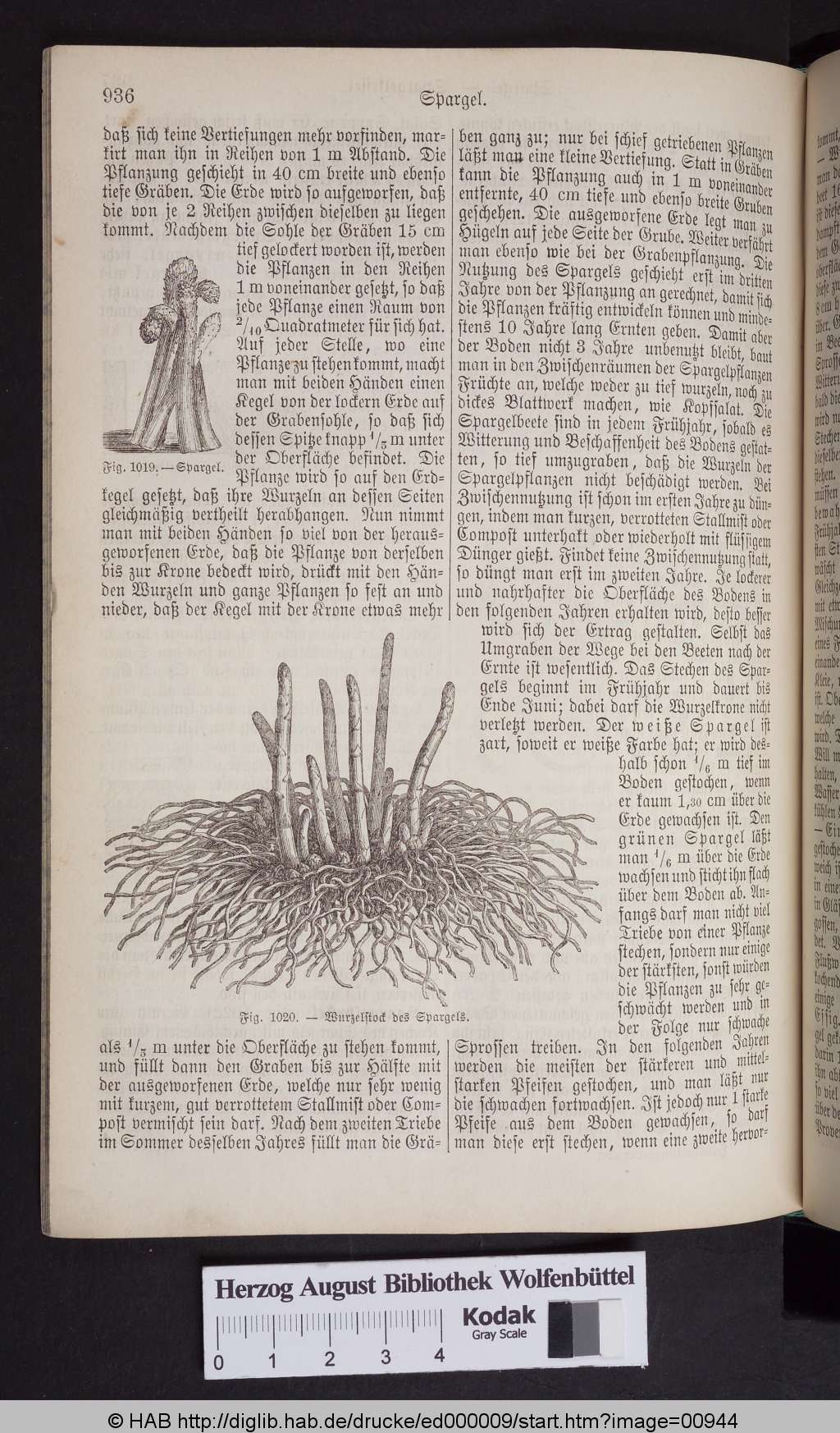 http://diglib.hab.de/drucke/ed000009/00944.jpg