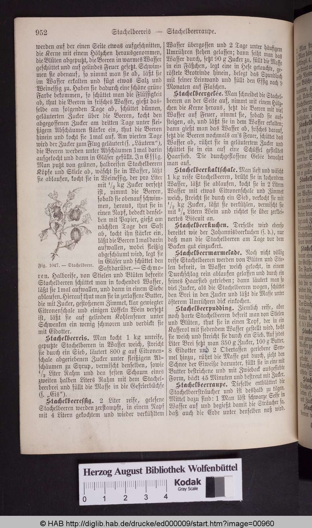 http://diglib.hab.de/drucke/ed000009/00960.jpg