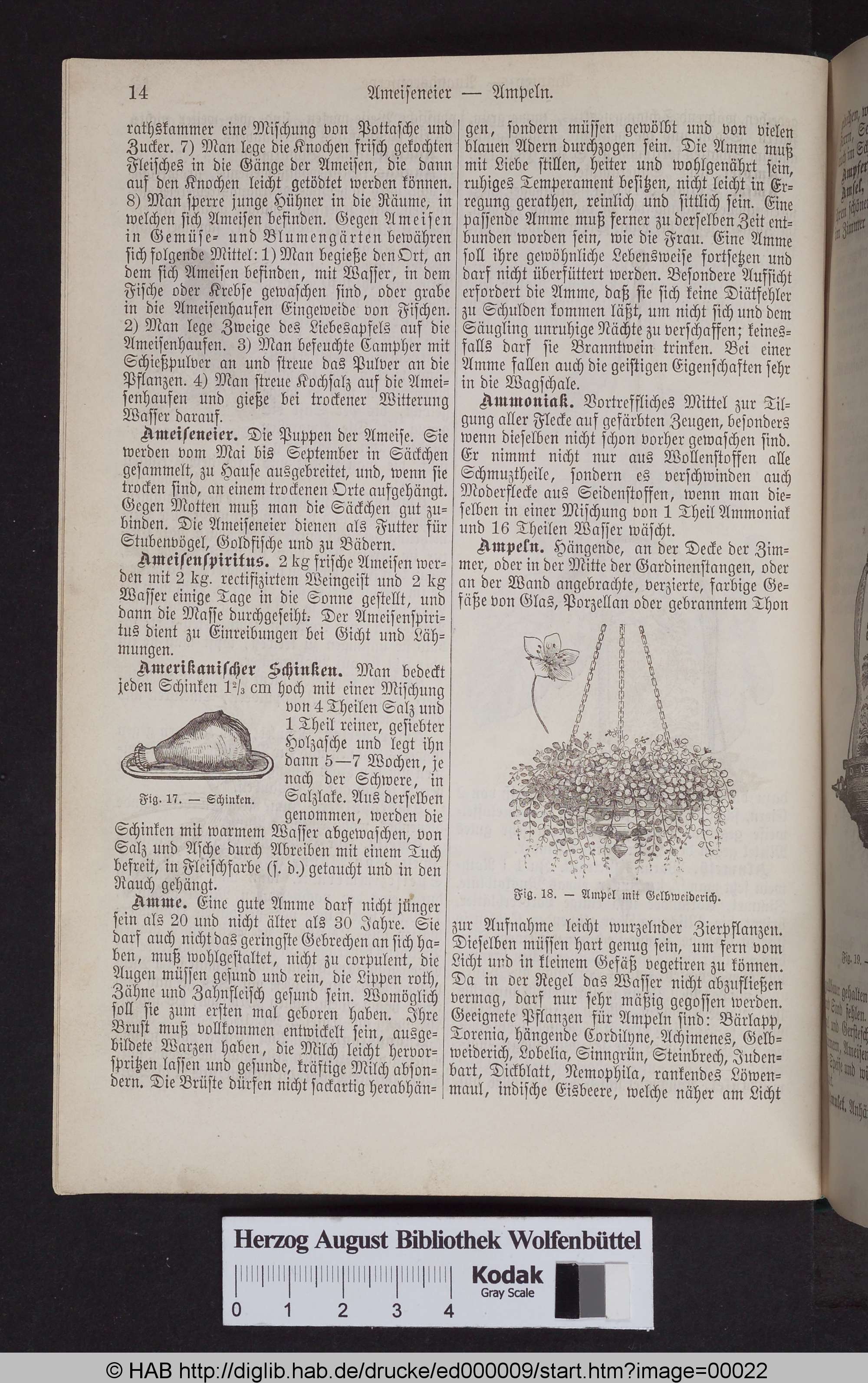 http://diglib.hab.de/drucke/ed000009/max/00022.jpg