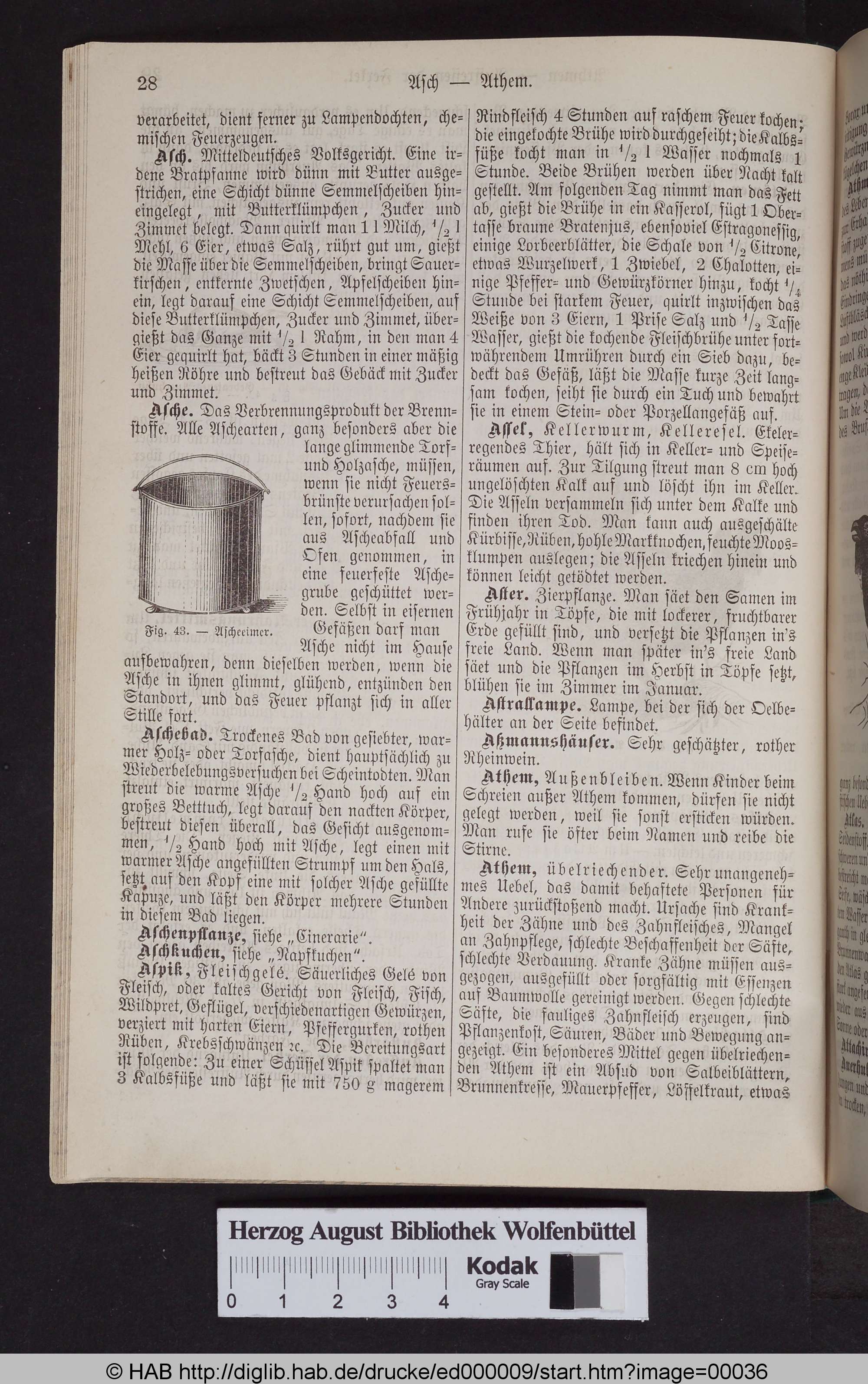 http://diglib.hab.de/drucke/ed000009/max/00036.jpg