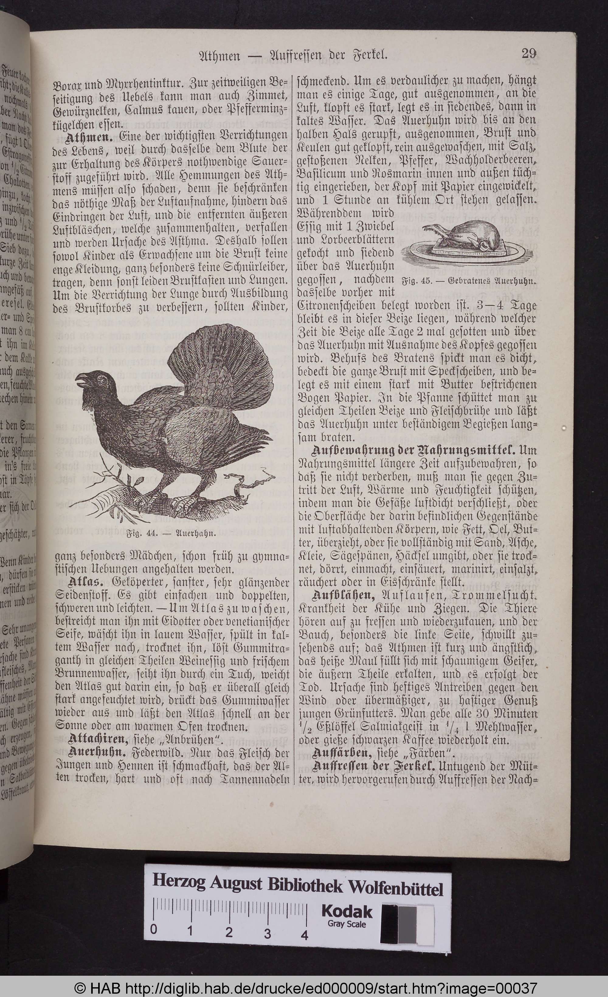 http://diglib.hab.de/drucke/ed000009/max/00037.jpg