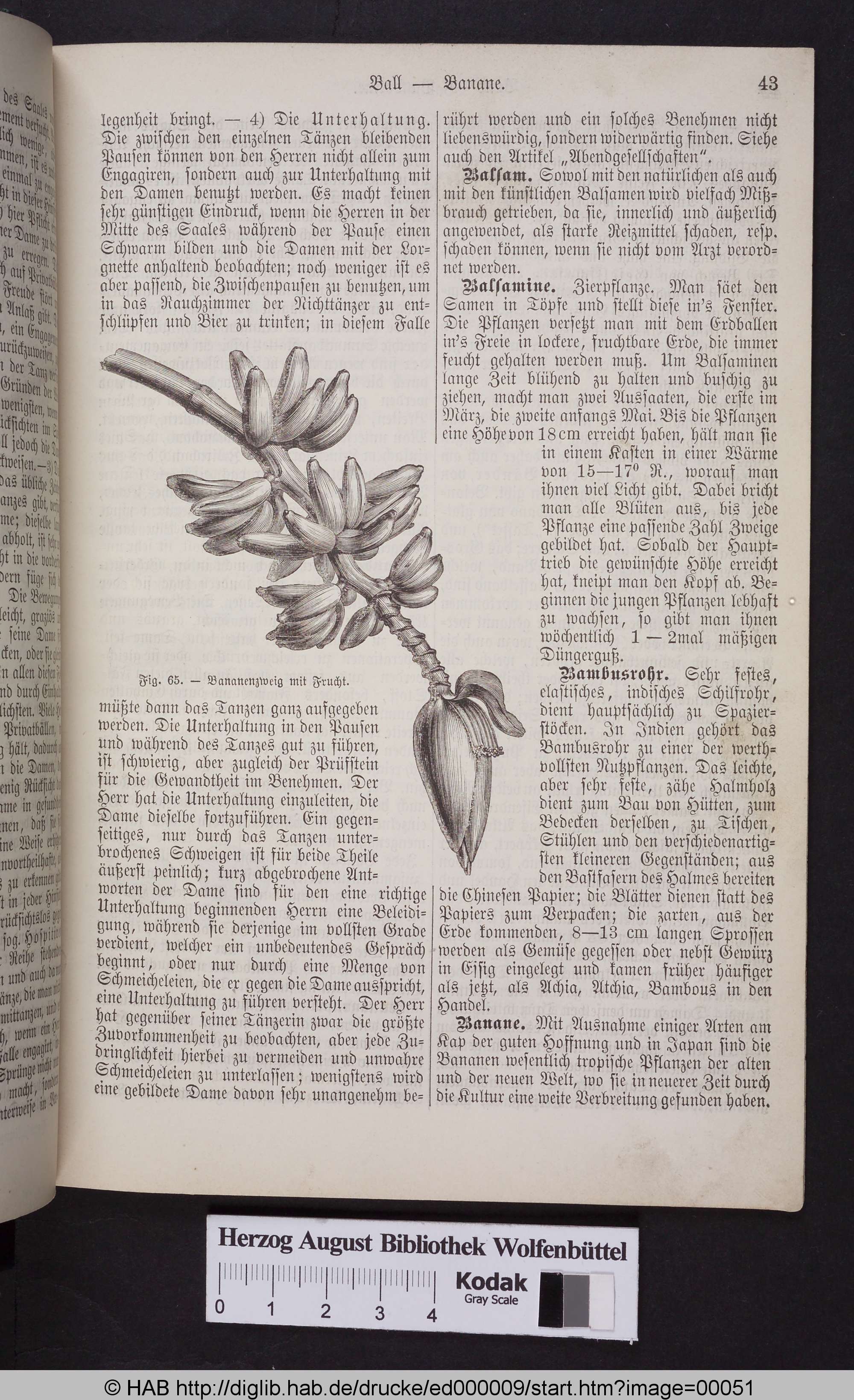 http://diglib.hab.de/drucke/ed000009/max/00051.jpg