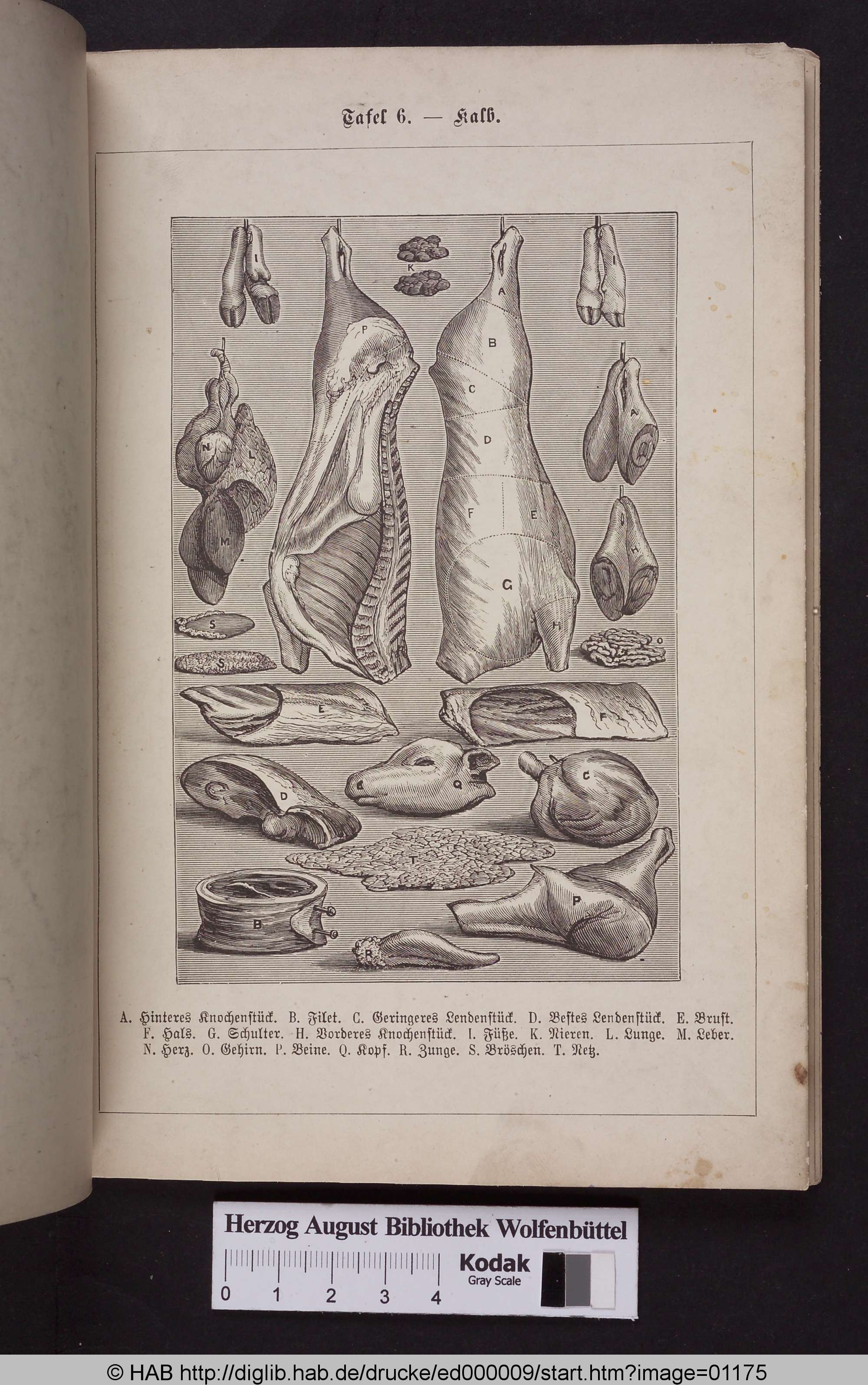 http://diglib.hab.de/drucke/ed000009/max/01175.jpg