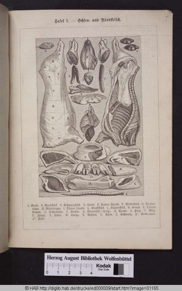 http://diglib.hab.de/drucke/ed000009/min/01165.jpg