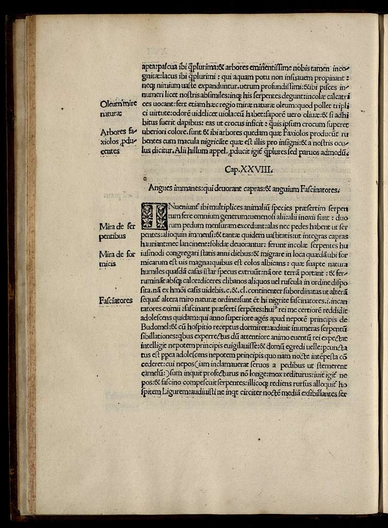 http://diglib.hab.de/drucke/ed000032/00000056.jpg