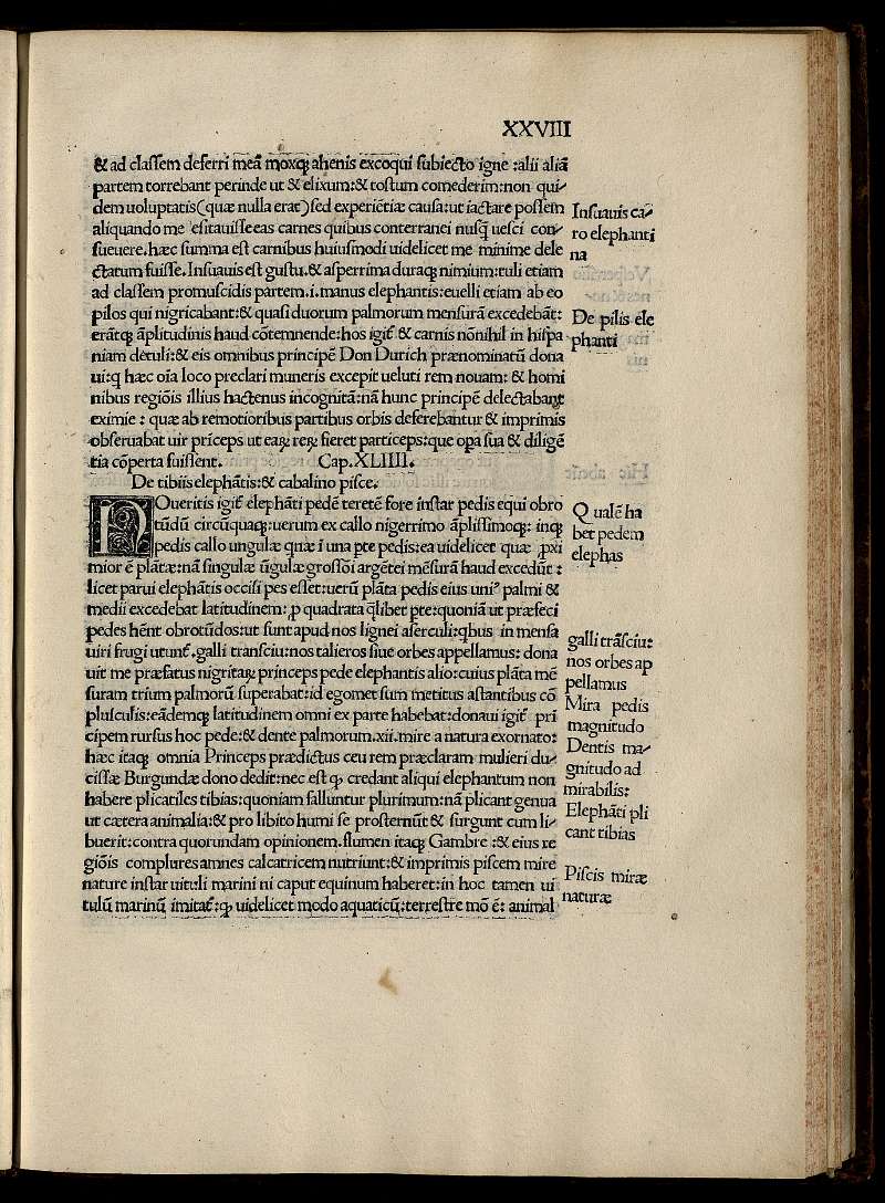 http://diglib.hab.de/drucke/ed000032/00000077.jpg