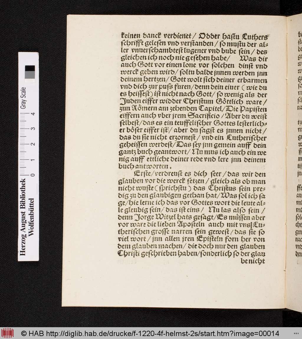 http://diglib.hab.de/drucke/f-1220-4f-helmst-2s/00014.jpg