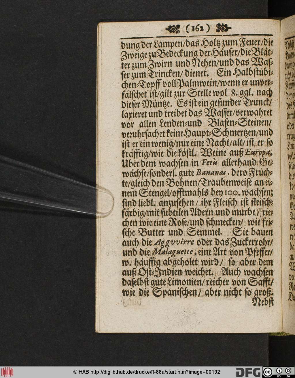 http://diglib.hab.de/drucke/ff-88a/00192.jpg