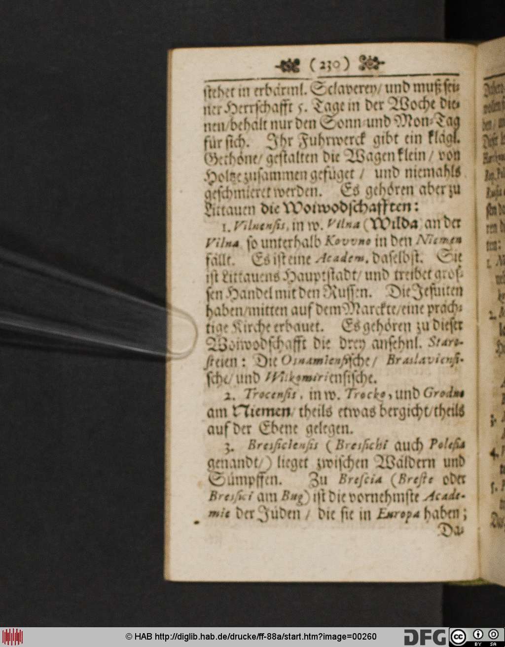 http://diglib.hab.de/drucke/ff-88a/00260.jpg