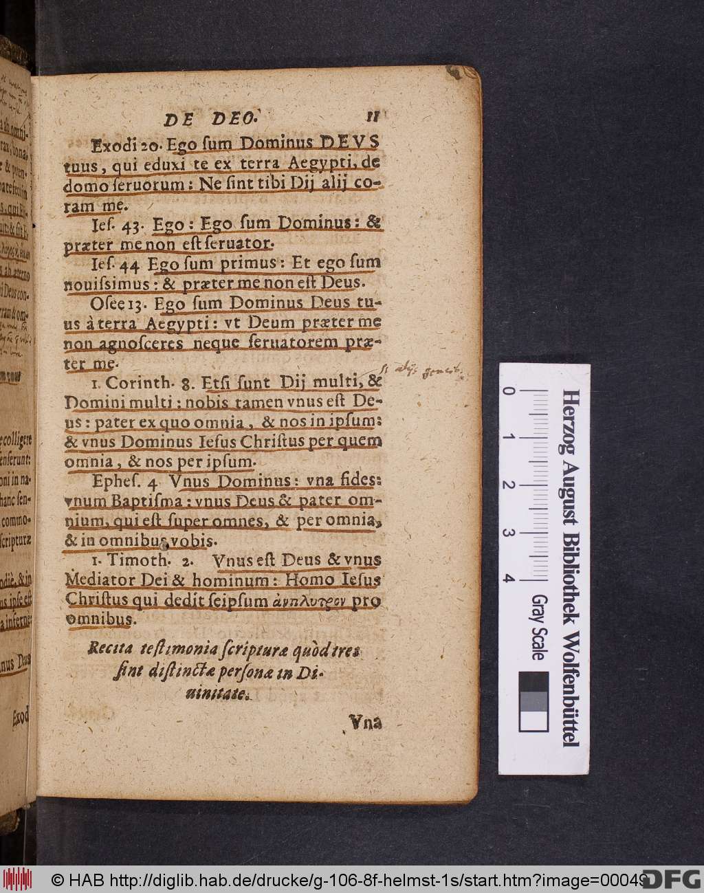 http://diglib.hab.de/drucke/g-106-8f-helmst-1s/00049.jpg