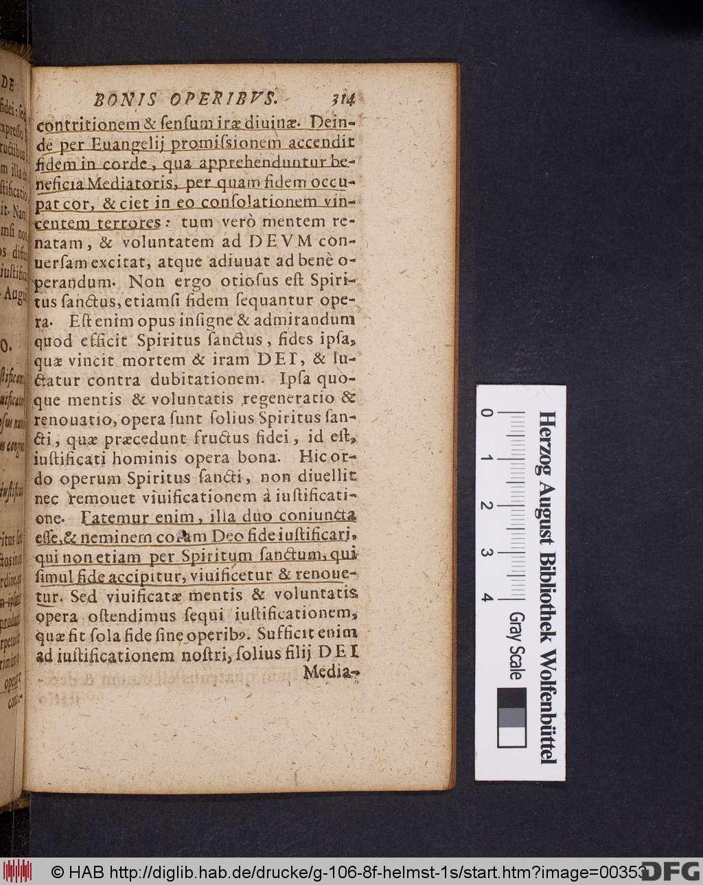 http://diglib.hab.de/drucke/g-106-8f-helmst-1s/00353.jpg