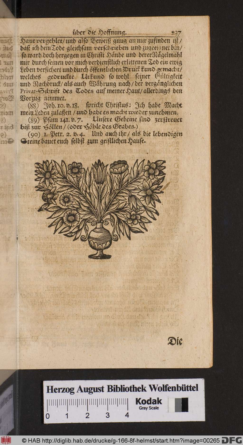 http://diglib.hab.de/drucke/g-166-8f-helmst/00265.jpg