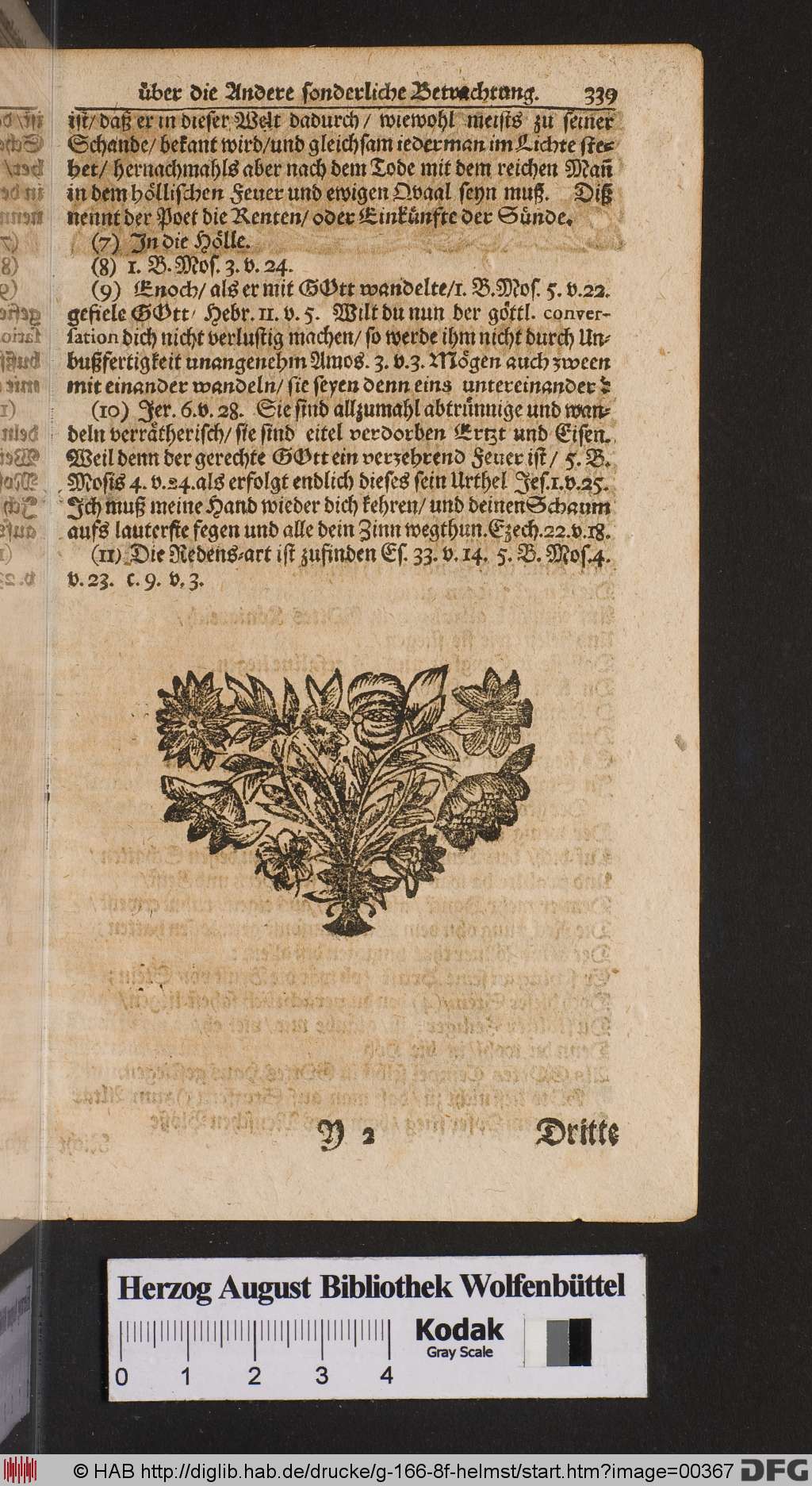 http://diglib.hab.de/drucke/g-166-8f-helmst/00367.jpg